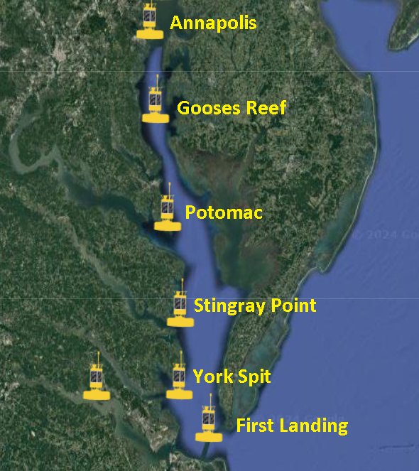 Chesapeake buoys